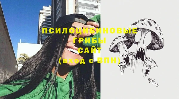 крисы Михайловск