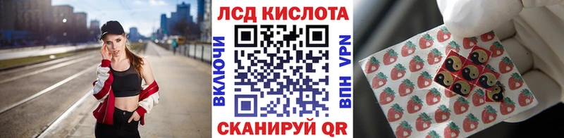 MEGA вход Болотное Марки N-bome 1,8мг как найти закладки