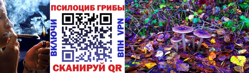 Псилоцибиновые грибы GOLDEN TEACHER  Болотное 